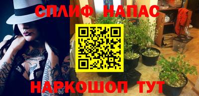 Альфа ПВП Жуковский