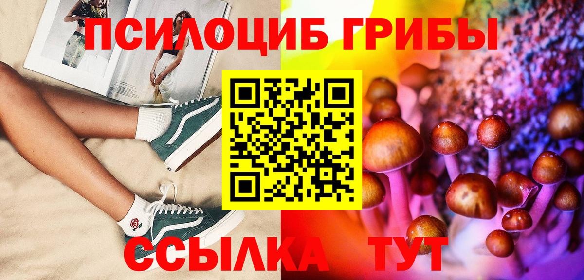 Галлюциногенные грибы Cubensis Мариинск