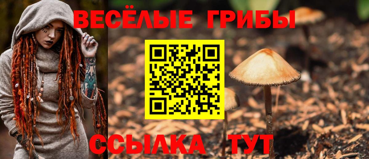 Псилоцибиновые грибы мицелий  Псилоцибиновые грибы GOLDEN TEACHER  Мариинск  Вход с VPN 